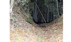 CatEye Volt 6000 Front Light - Red/Black for Front Lights -Cheap Lights Store 42272 4